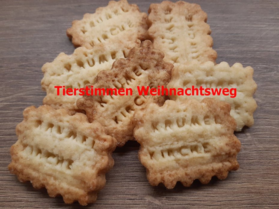 Krümelkirche Christuskirchengemeinde Tierstimmen
